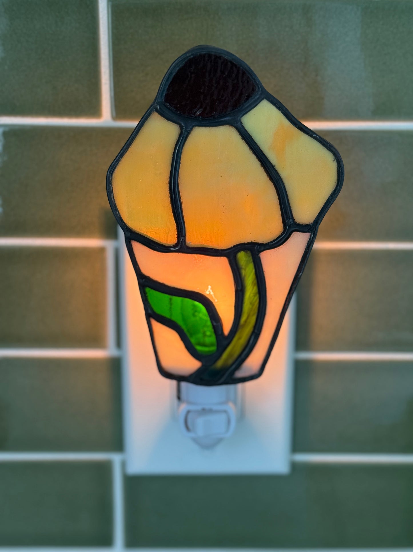 Wispy Daisy Nightlights