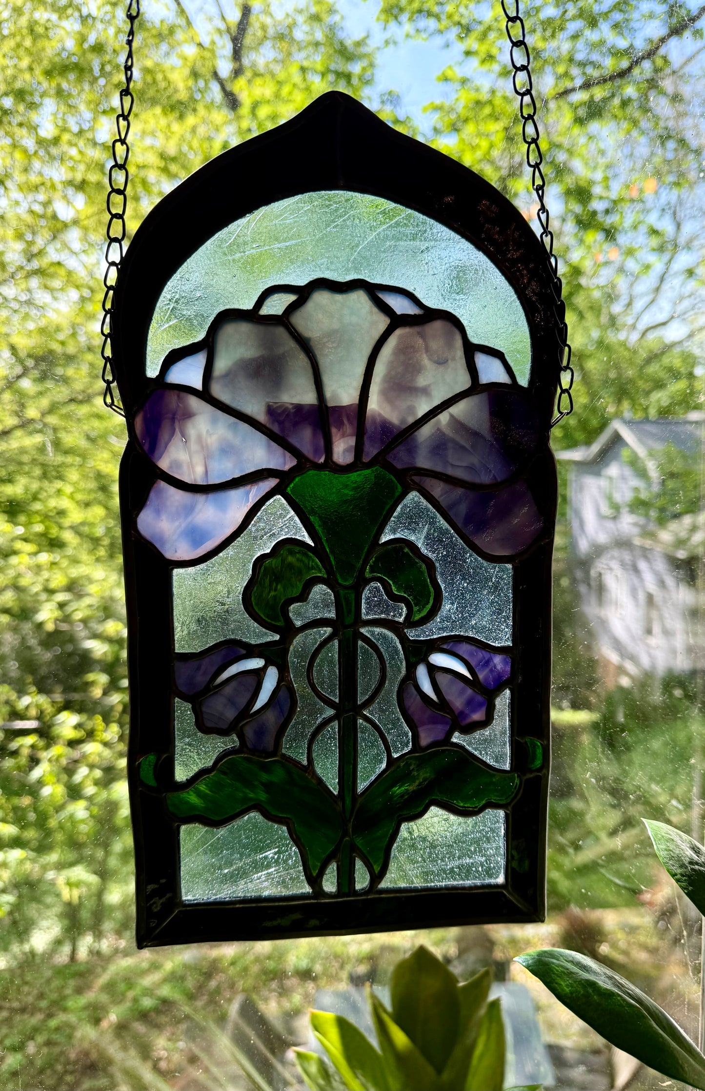 Cathedral Flower