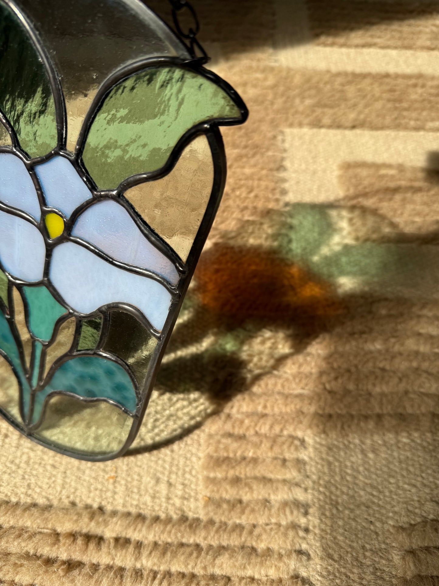 Oval Morning Glory in Periwinkle