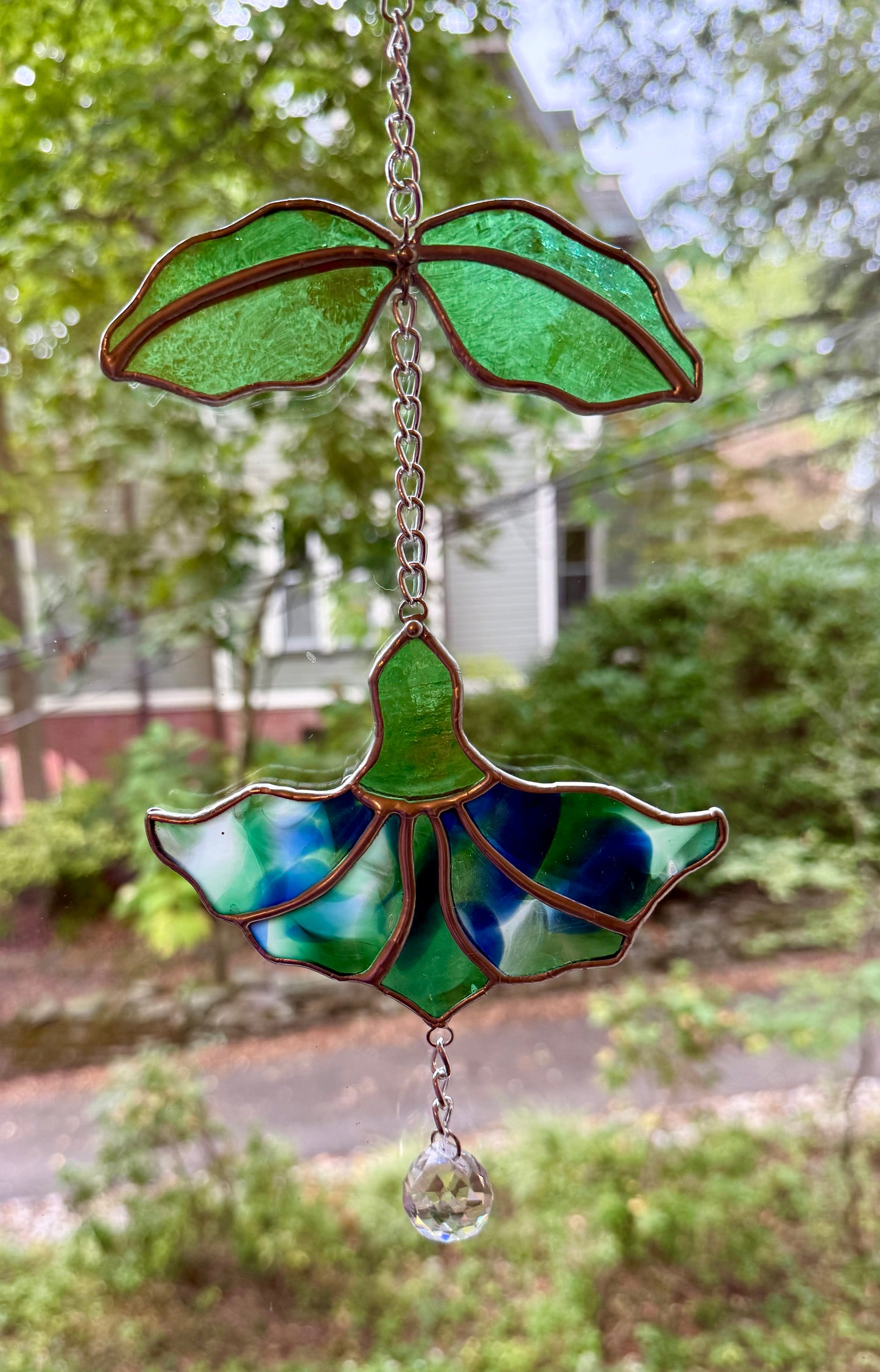 Hanging Trumpet Flower