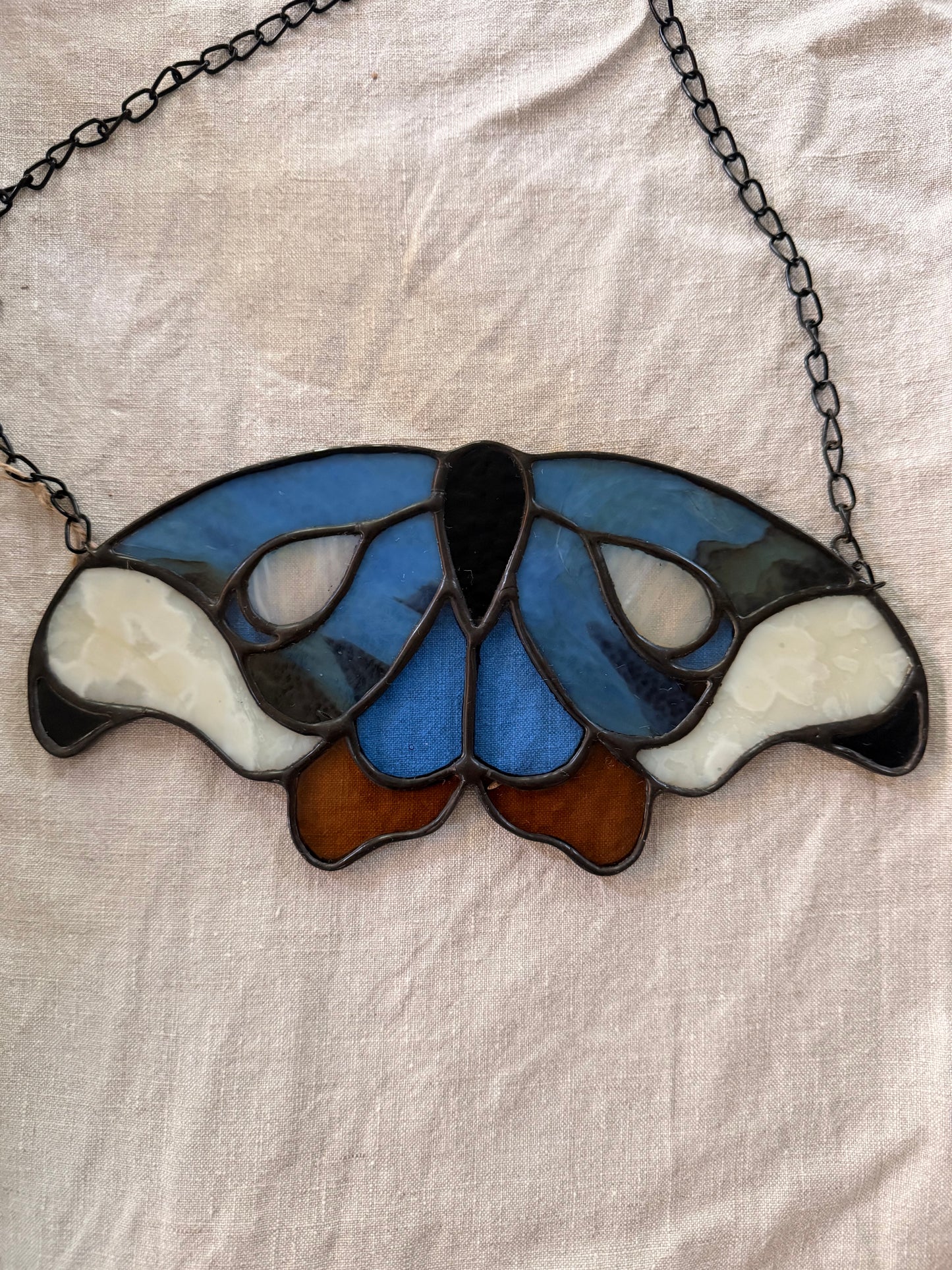 Moth