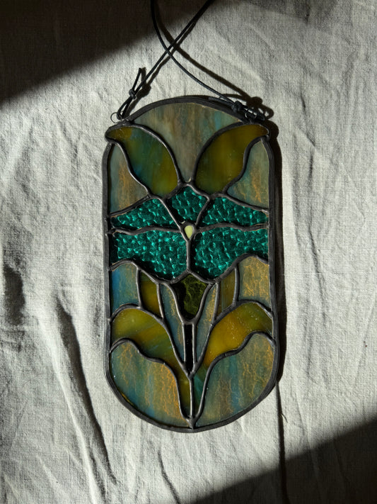 Oval Morning Glory