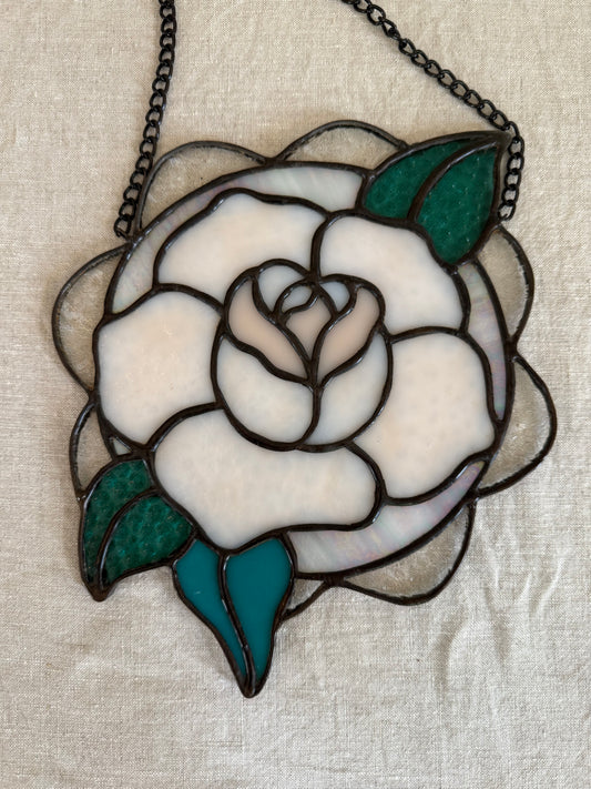 Pink Rose with Scalloped edge