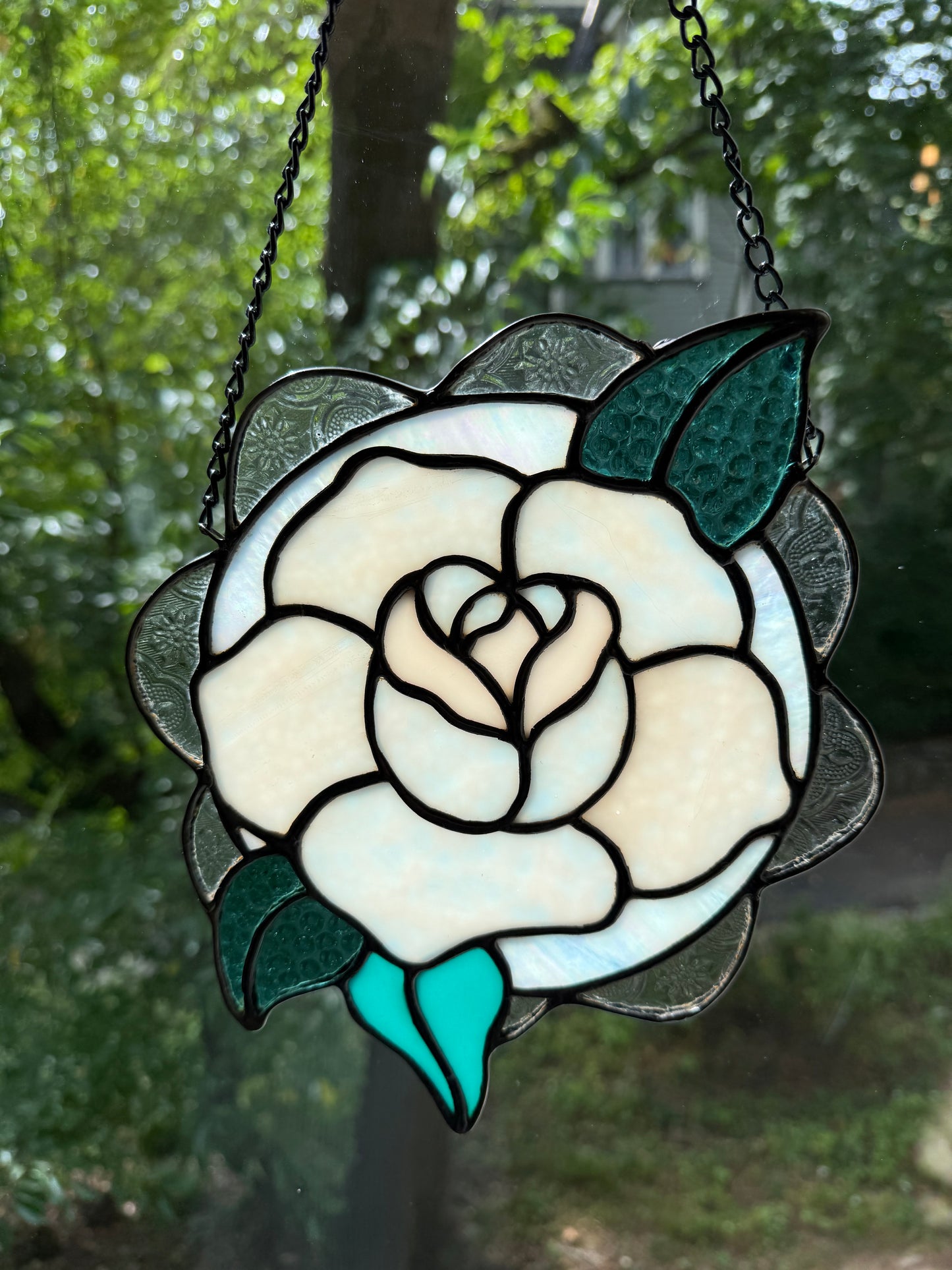 Pink Rose with Scalloped edge