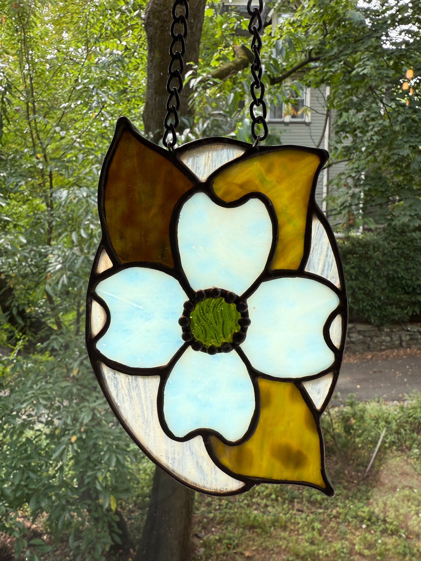Dogwood