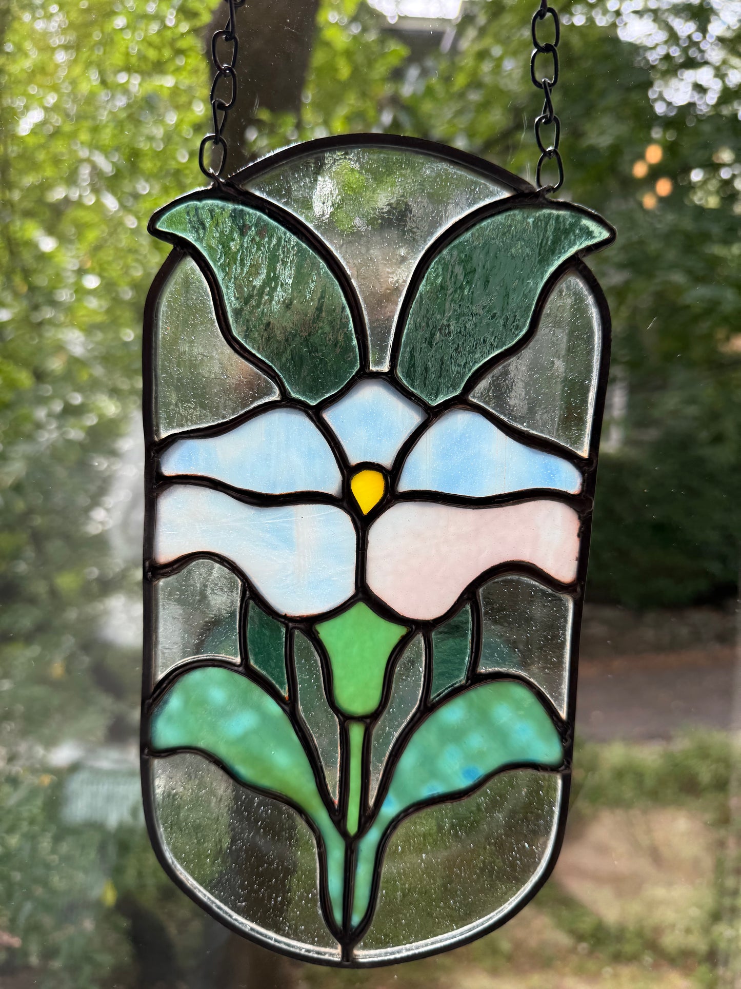 Oval Morning Glory in Periwinkle