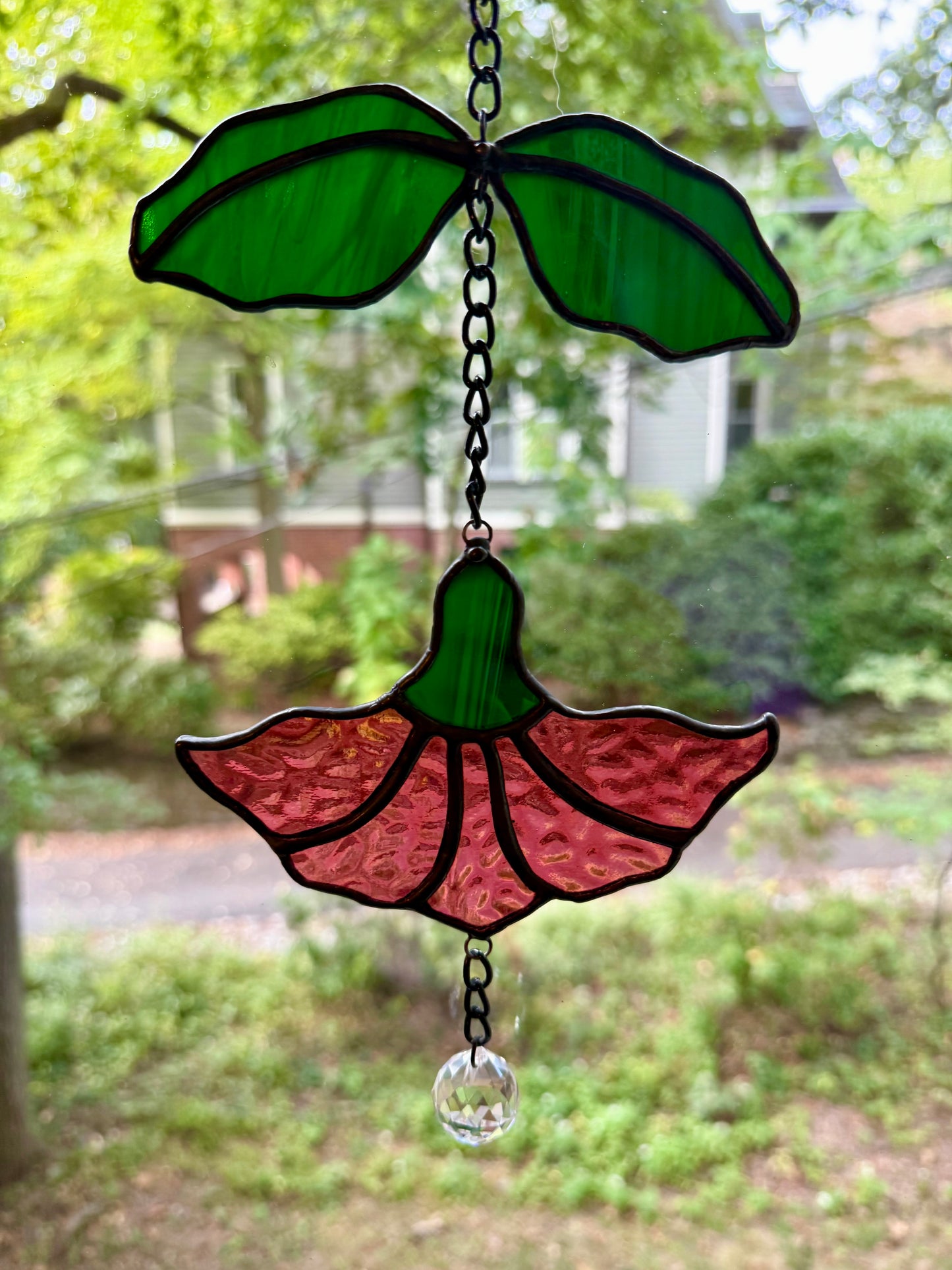 Hanging Trumpet Flower