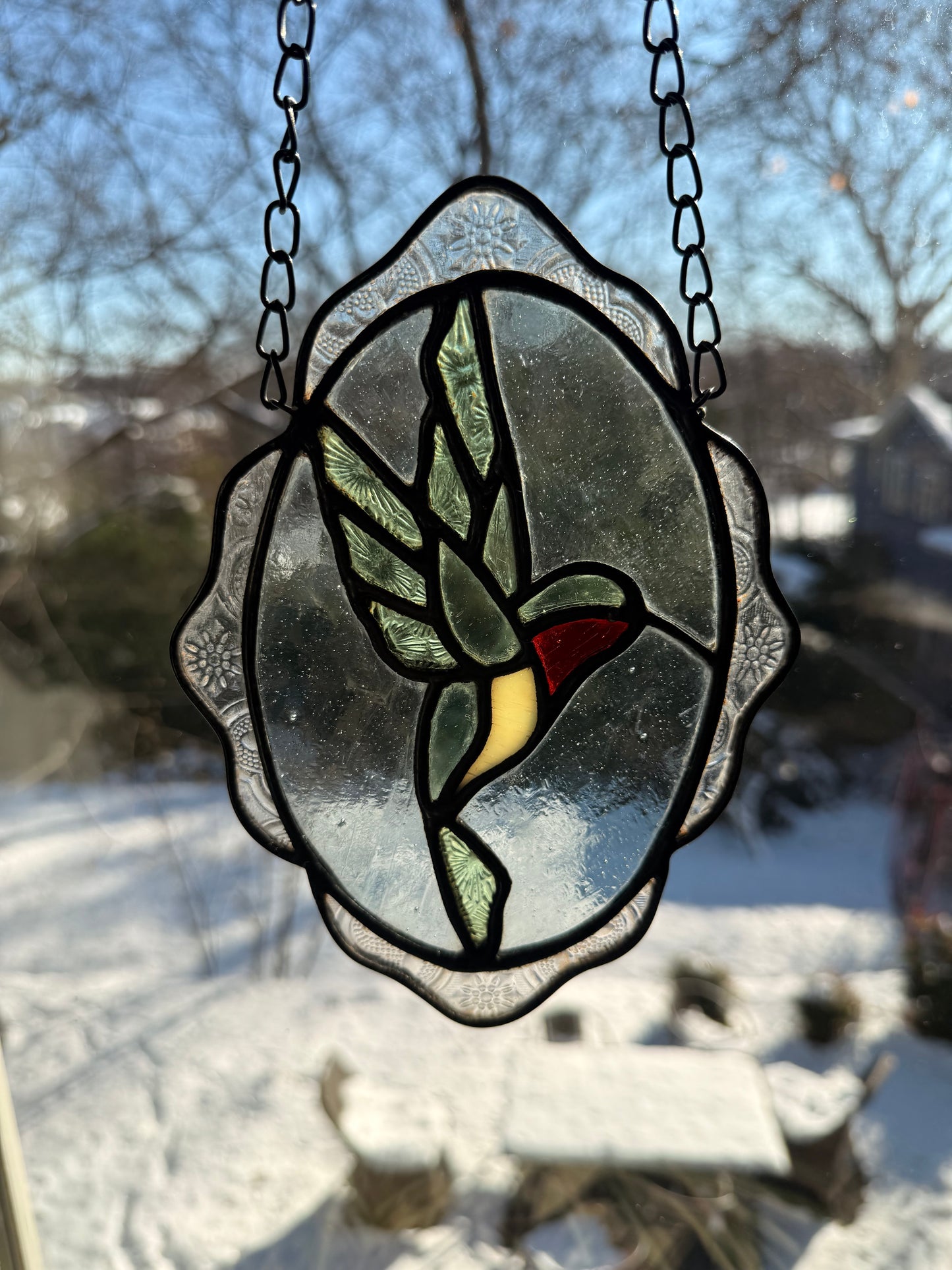 Framed Hummingbird