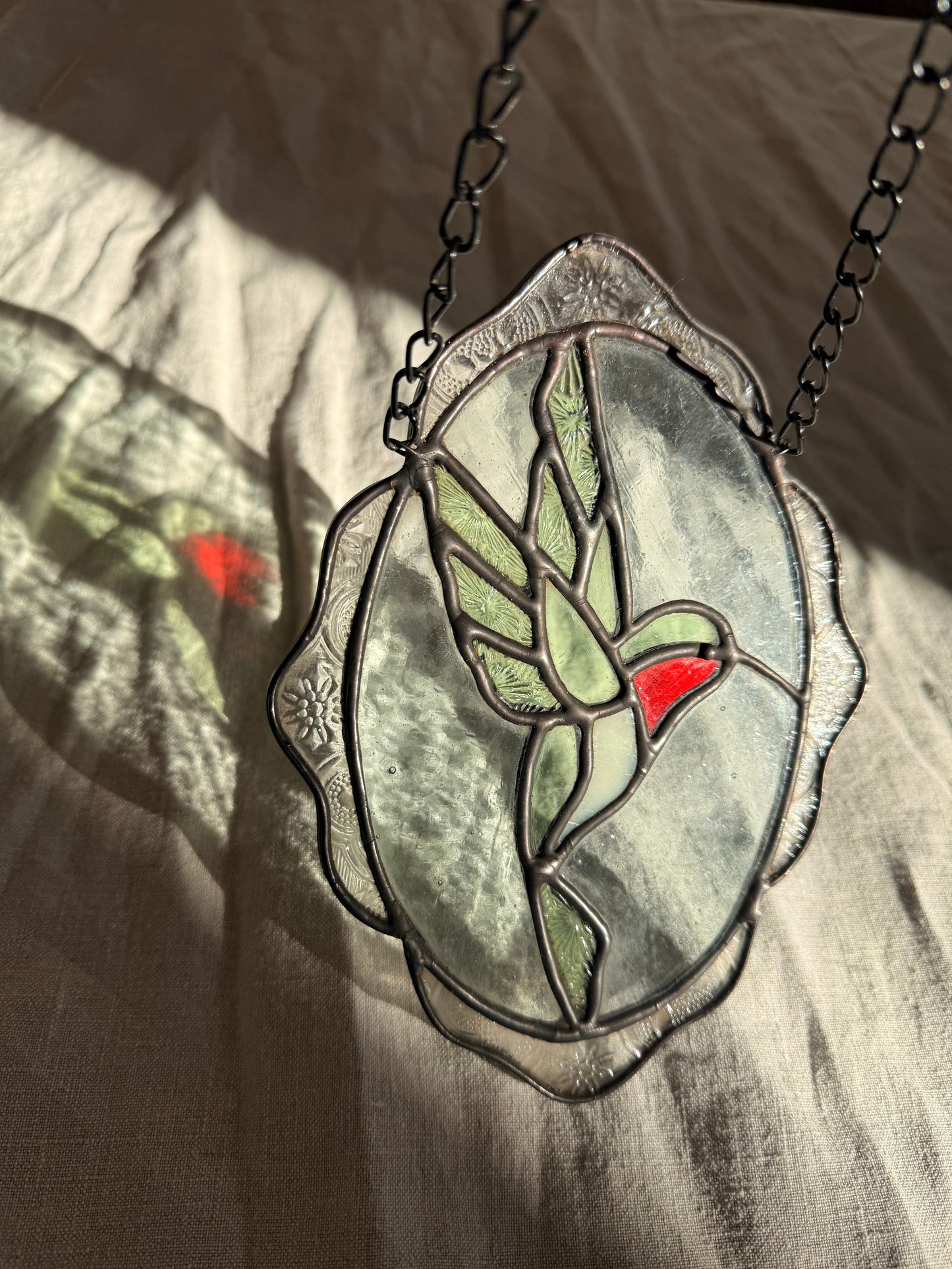 Framed Hummingbird
