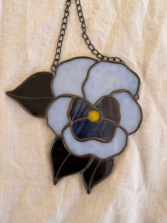 Pansy