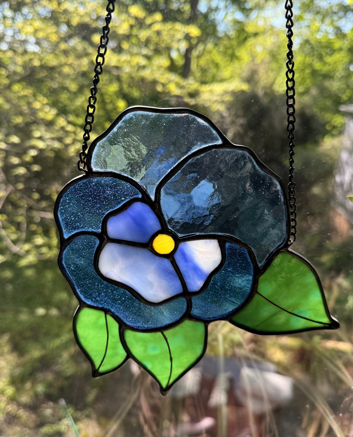 Pansy