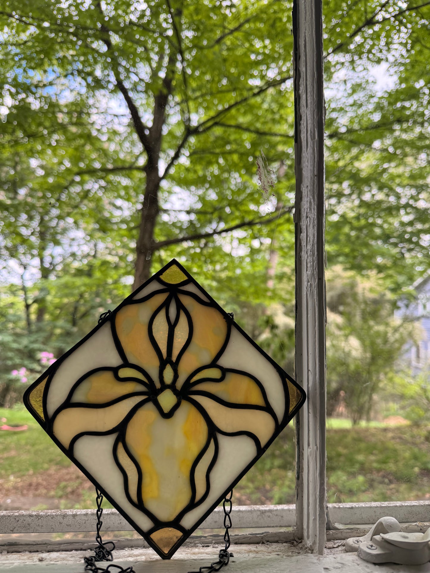 Diamond Iris