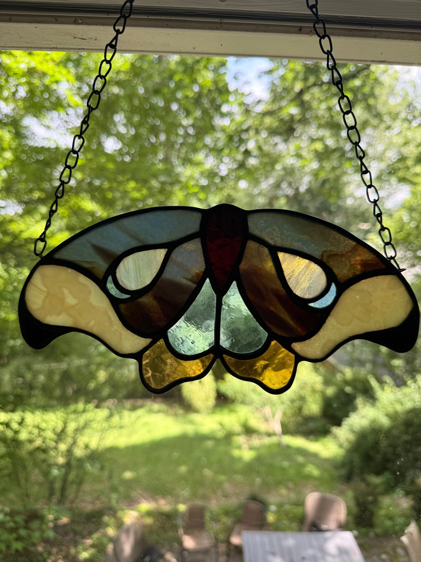 Moth