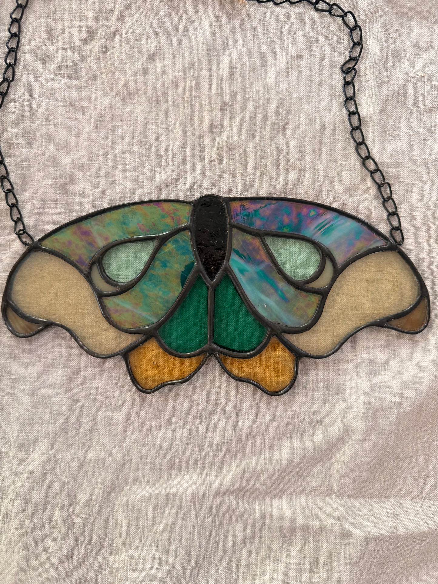 Moth