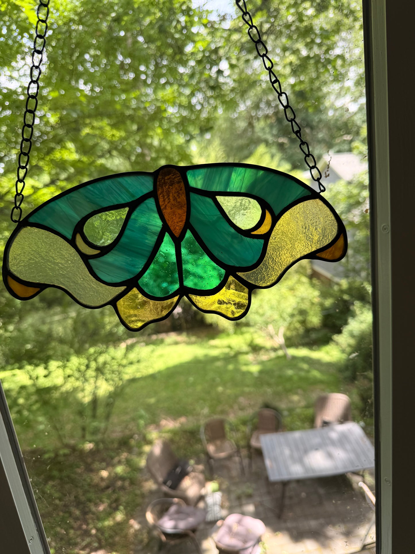 Moth
