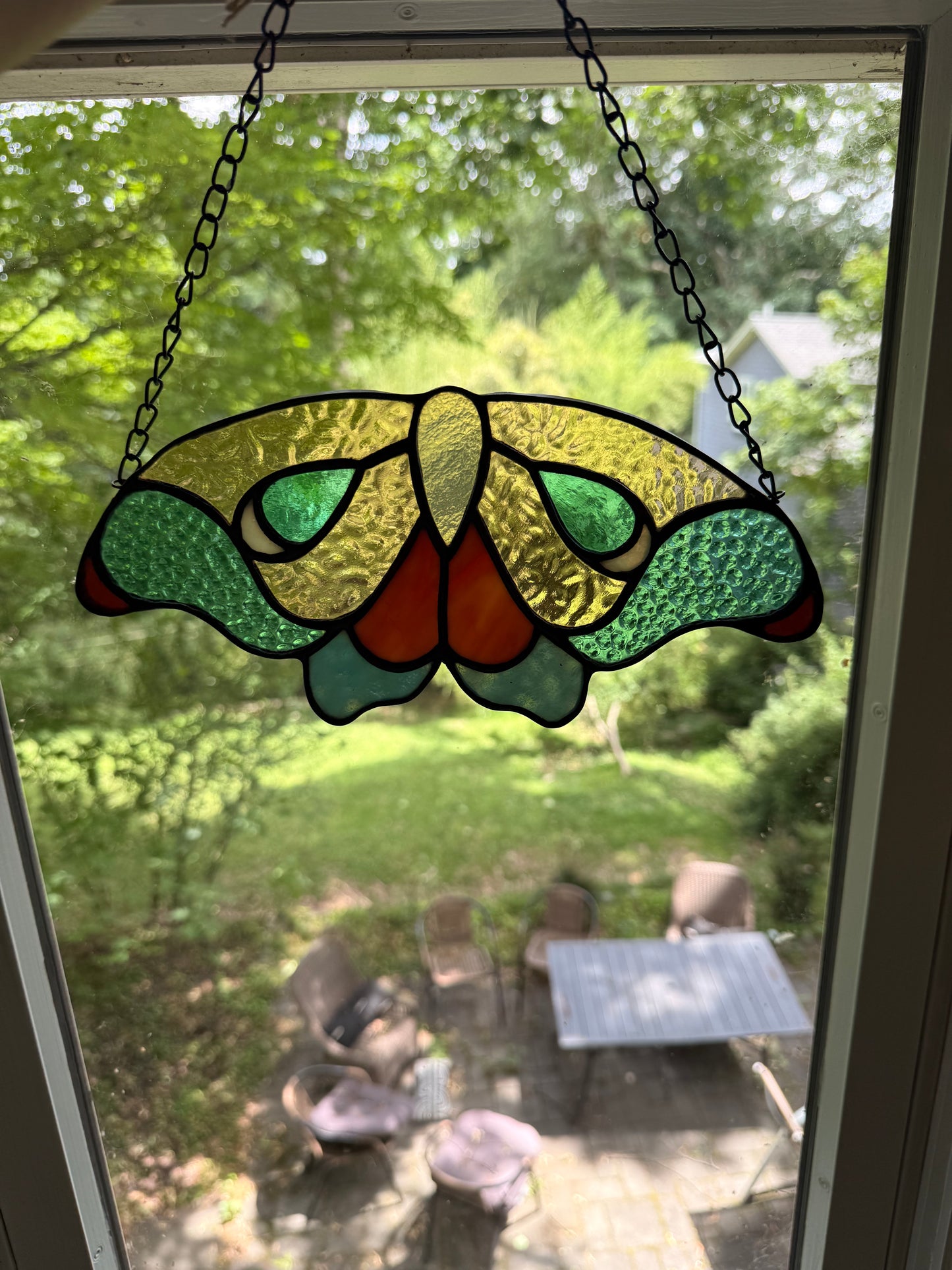 Moth