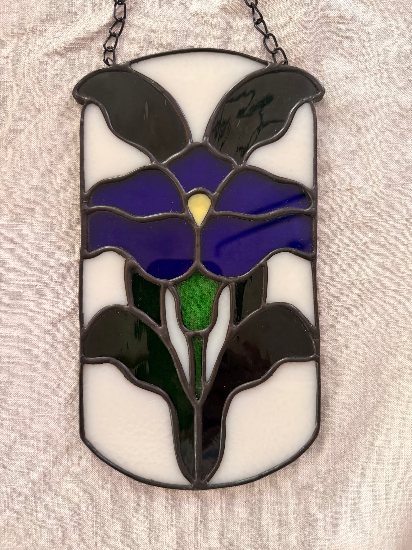 Oval Morning Glory