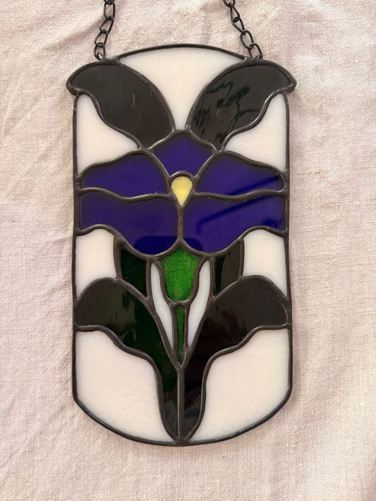 Cobalt Morning Glory