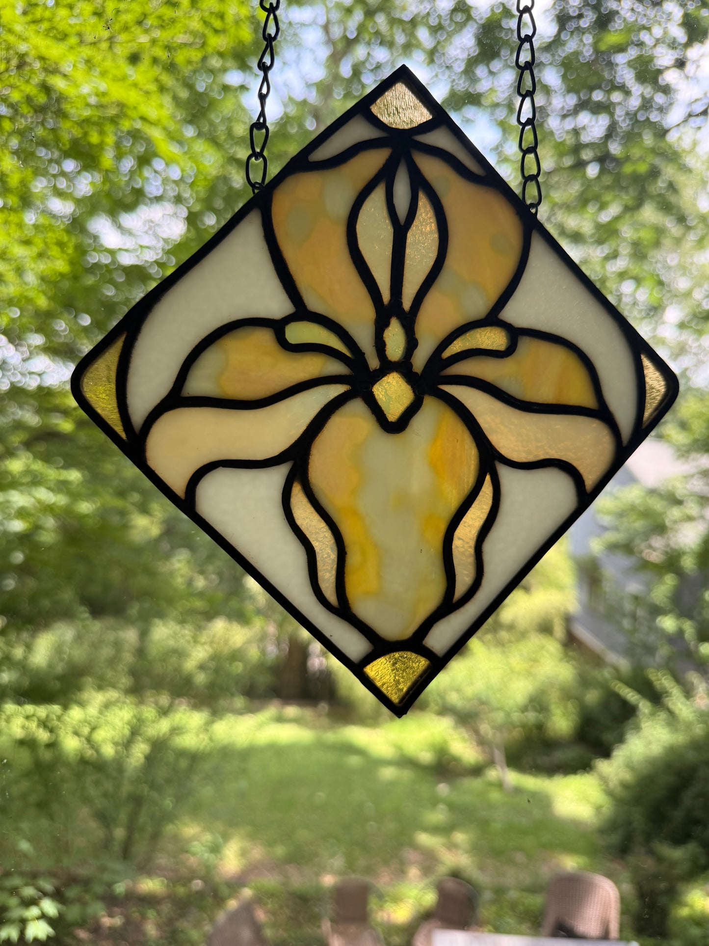 Diamond Iris